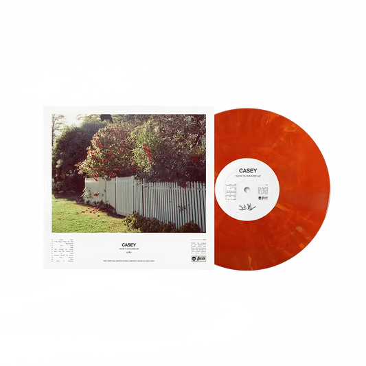 How To Disappear 12" Vinyl - Eruption Marble