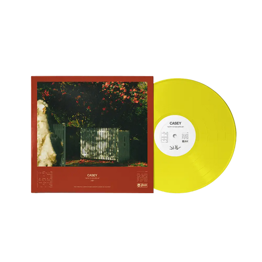 How To Disappear 12" Vinyl - Transparent Yellow